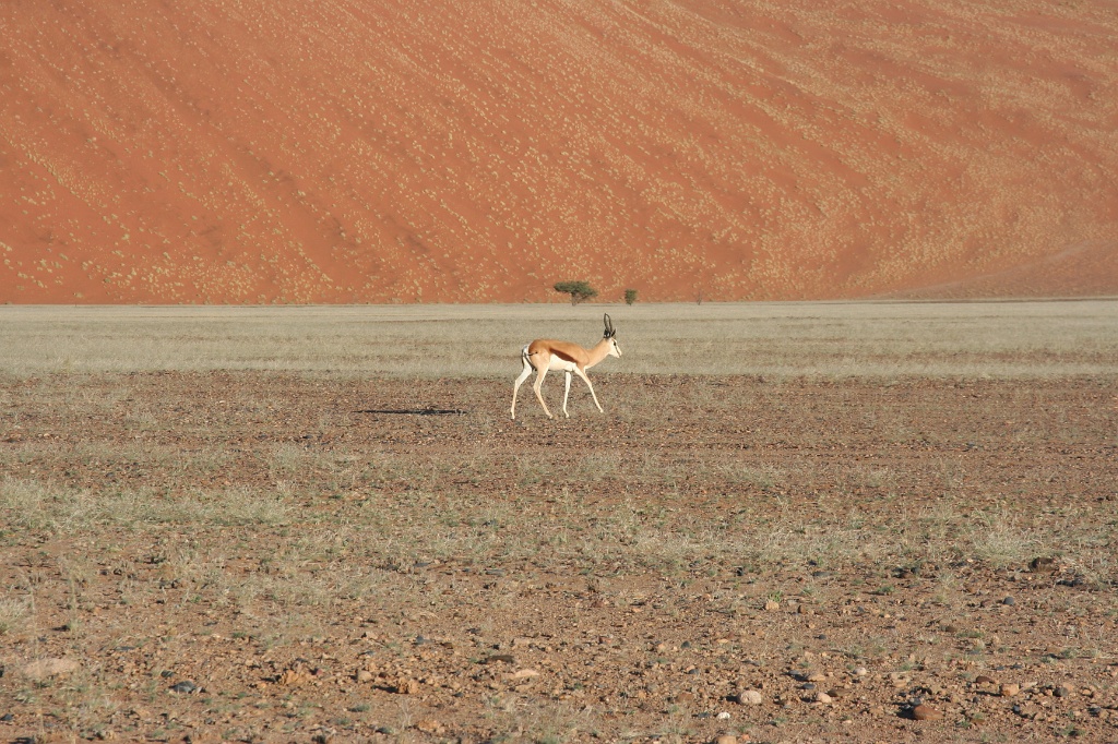 Namibia (48)
